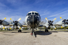 jose-enriquez.es cianotipia cyanotype fotografia retrato joseenriquezfotografia