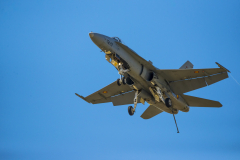 jose-enriquez.es cianotipia cyanotype fotografia retrato joseenriquezfotografia