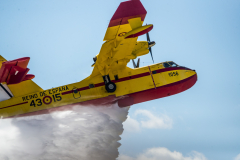 jose-enriquez.es cianotipia cyanotype fotografia retrato joseenriquezfotografia