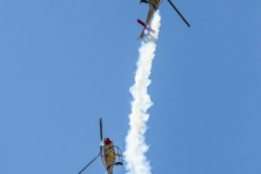 jose-enriquez.es cianotipia cyanotype fotografia retrato joseenriquezfotografia