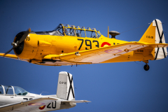 jose-enriquez.es cianotipia cyanotype fotografia retrato joseenriquezfotografia