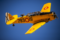 jose-enriquez.es cianotipia cyanotype fotografia retrato joseenriquezfotografia