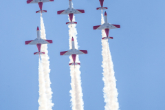 jose-enriquez.es cianotipia cyanotype fotografia retrato joseenriquezfotografia