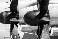 jose-enriquez.es cianotipia cyanotype fotografia retrato joseenriquezfotografia