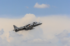 jose-enriquez.es cianotipia cyanotype fotografia retrato joseenriquezfotografia