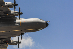 jose-enriquez.es cianotipia cyanotype fotografia retrato joseenriquezfotografia