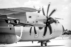 jose-enriquez.es cianotipia cyanotype fotografia retrato joseenriquezfotografia