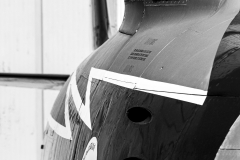 jose-enriquez.es cianotipia cyanotype fotografia retrato joseenriquezfotografia