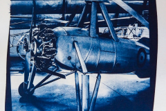 jose-enriquez.es cianotipia cyanotype fotografia retrato joseenriquezfotografia